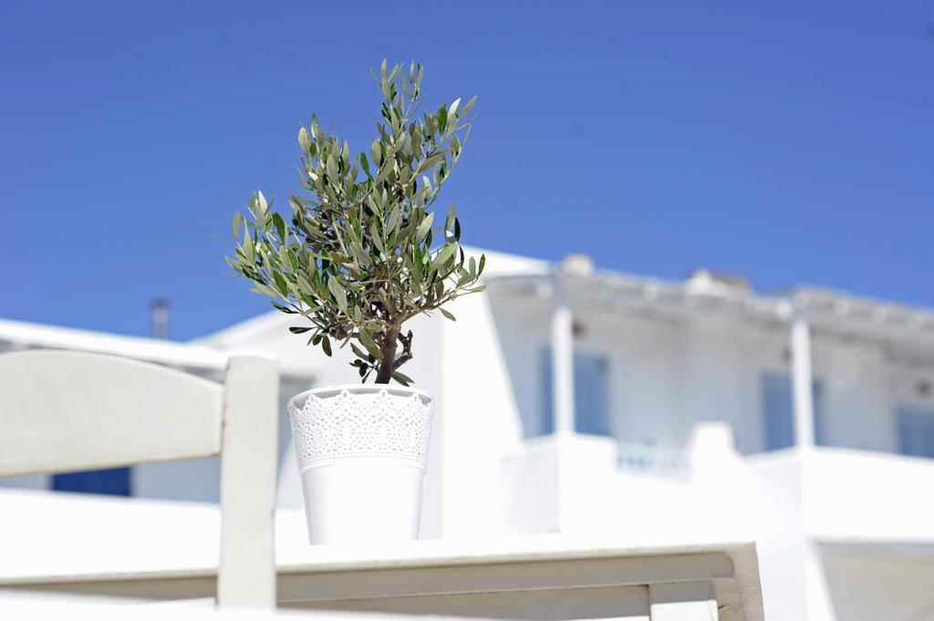 Galatis Beach Hotel Aliki  Ngoại thất bức ảnh